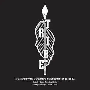 Hometown : Detroit sessions 1990-2014
